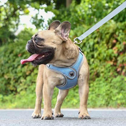 Gray Comfortable Breathable Adjustable Reflective Dog Harness Vest - Polyester, Nighttime Safety Leash Set for Small to Medium Dogs