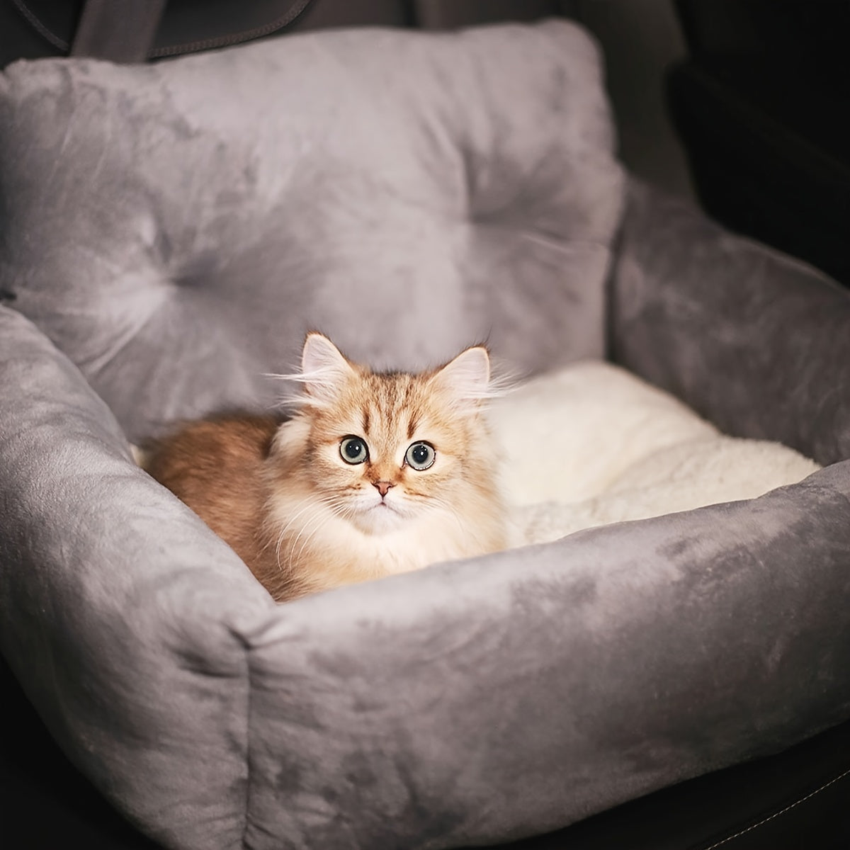 Car Seat for Cats and Small Dogs - Soft Gray Pet Carrier with Adjustable Straps, Ergonomic Design for Safe Travel, Secure Fit for Vehicles, Pet Carrier Seat, Vehicle Pet Rest, Comfortable Pet Seat, Secure Pet Rest