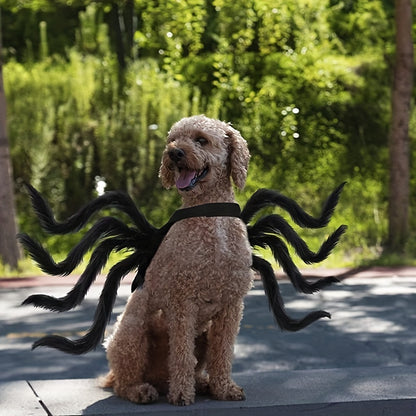 Halloween Spider Costume for Cats and Small/Medium Dogs - Fun and Festive Pet Dress Up -  Polyester Fabric - For Halloween Parties & Trick-or-Treating - Perfect Gift for Pet Lovers