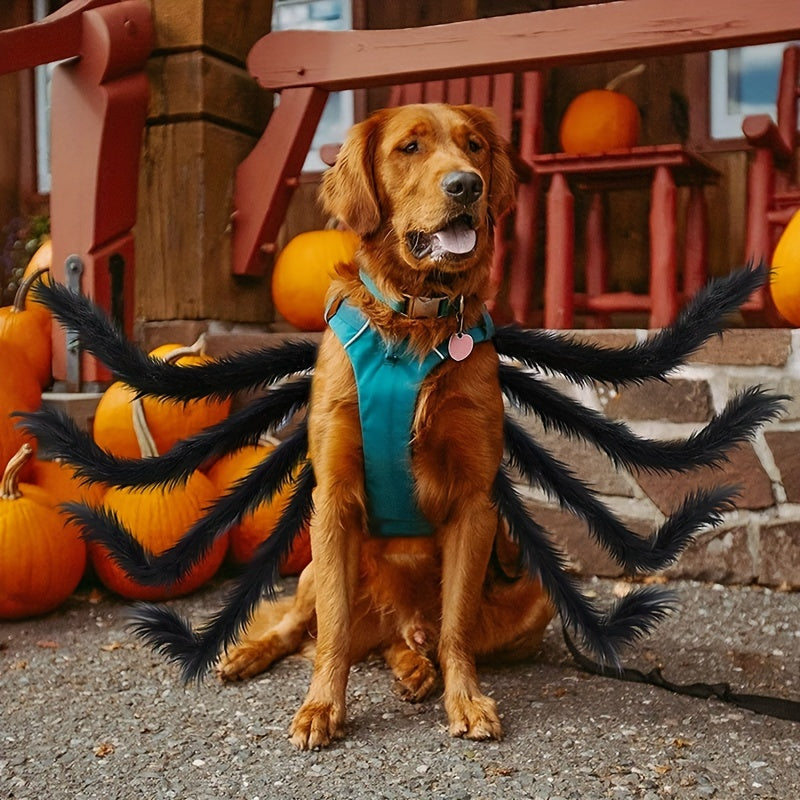 Halloween Spider Costume for Cats and Small/Medium Dogs - Fun and Festive Pet Dress Up -  Polyester Fabric - For Halloween Parties & Trick-or-Treating - Perfect Gift for Pet Lovers
