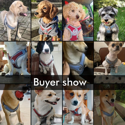 Gray Comfortable Breathable Adjustable Reflective Dog Harness Vest - Polyester, Nighttime Safety Leash Set for Small to Medium Dogs