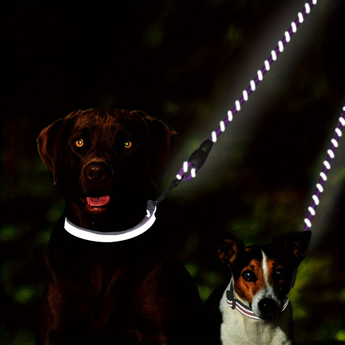 JOYTALE Reflective Dual Leash for 2 Dogs - No Tangle Walking Leash with Comfortable Handle